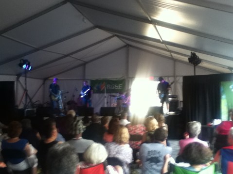 The Barrel House Blues Band performed for free at the RG&E Fusion Stage