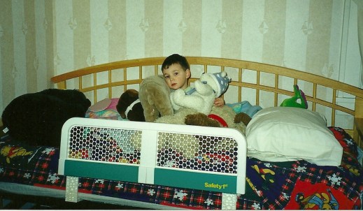 First night in HIS big boy bed with all HIS animals. This photo just says "mine." 